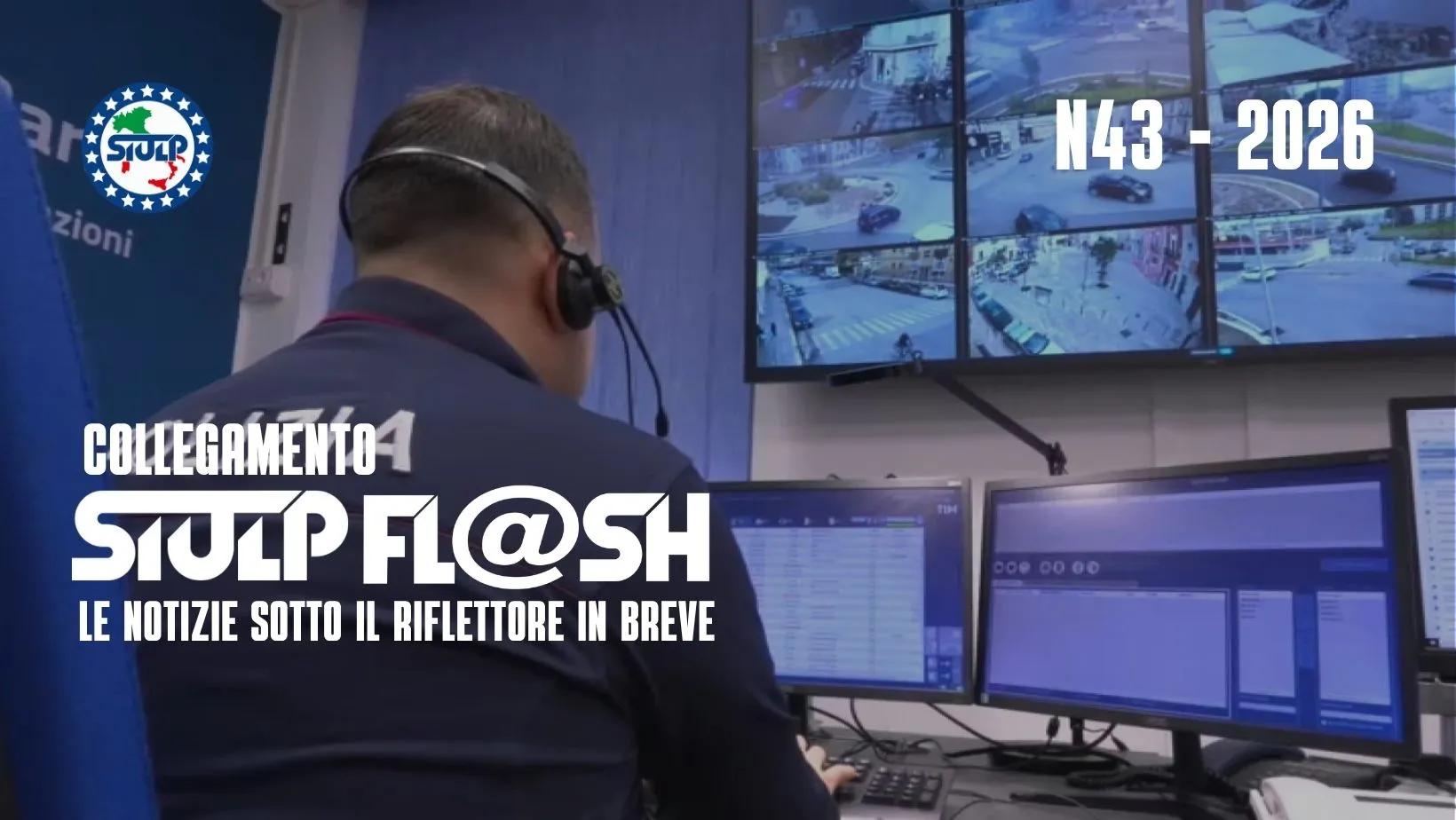 Flash 43 2026